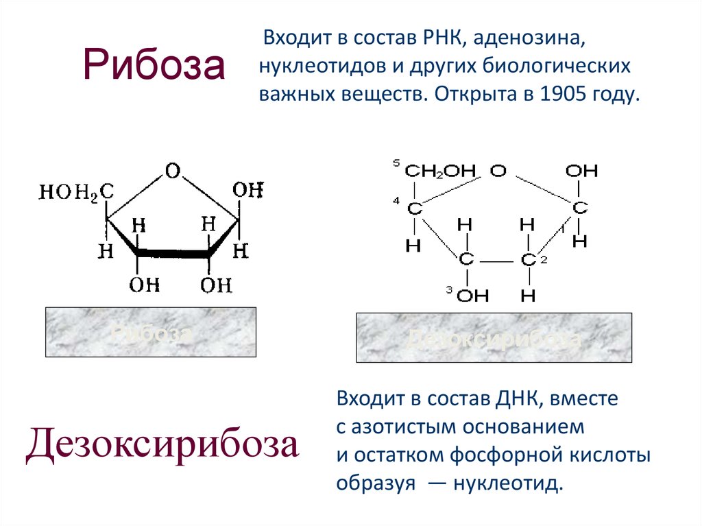 Рибоза класс соединений. Рибоза ag2o. Строение д рибозы. Α-D-дезоксирибоза. Рибоза классификация.