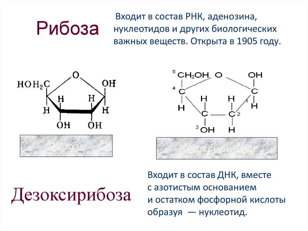 Рибоза мономер