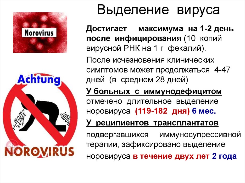 Генотипы норовируса. Норовирус. Вирус Норфолк. Норовирус клинические проявления.