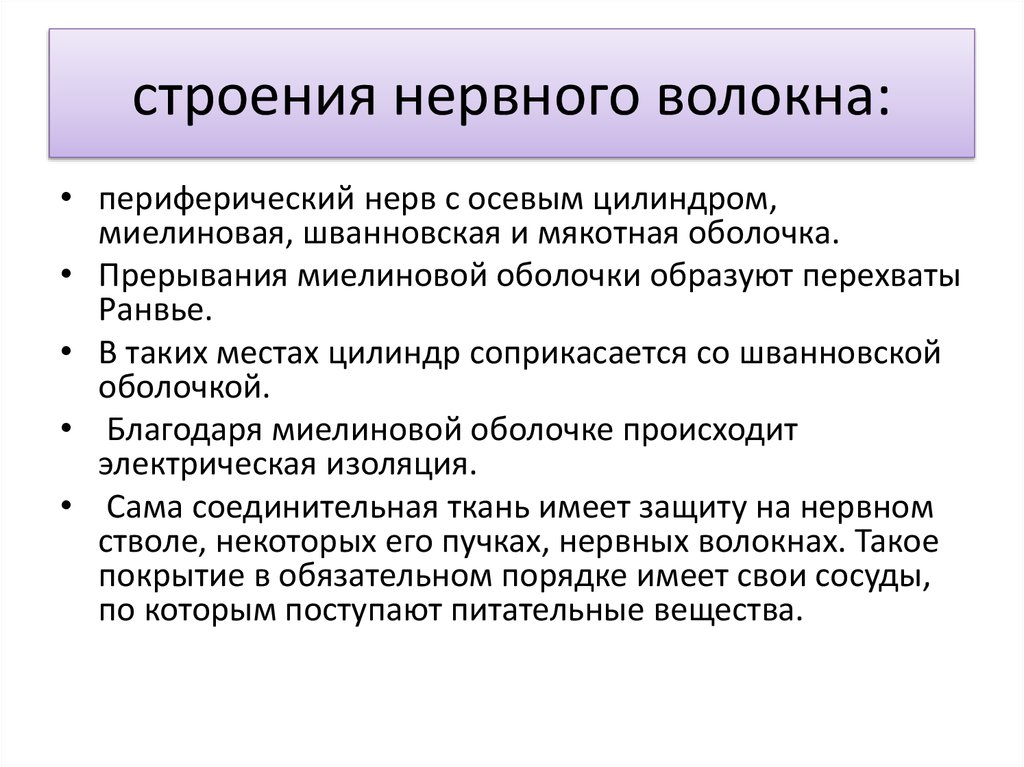 строения нервного волокна: