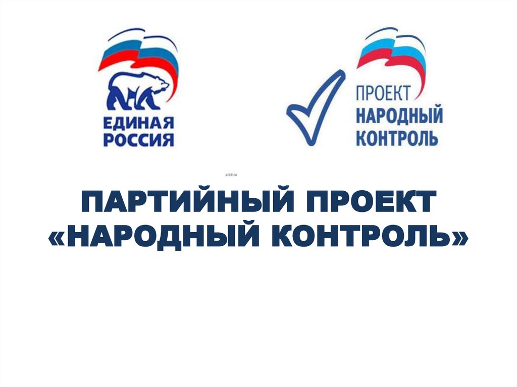 Проект народный контроль