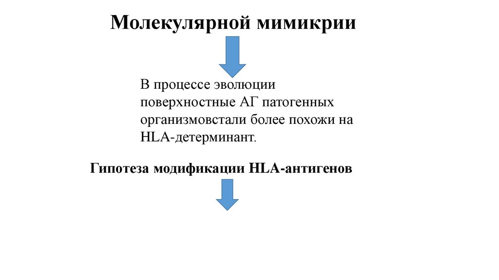Молекулярной мимикрии