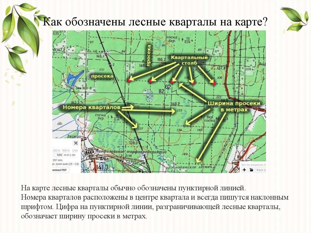 Карта по кварталам лес