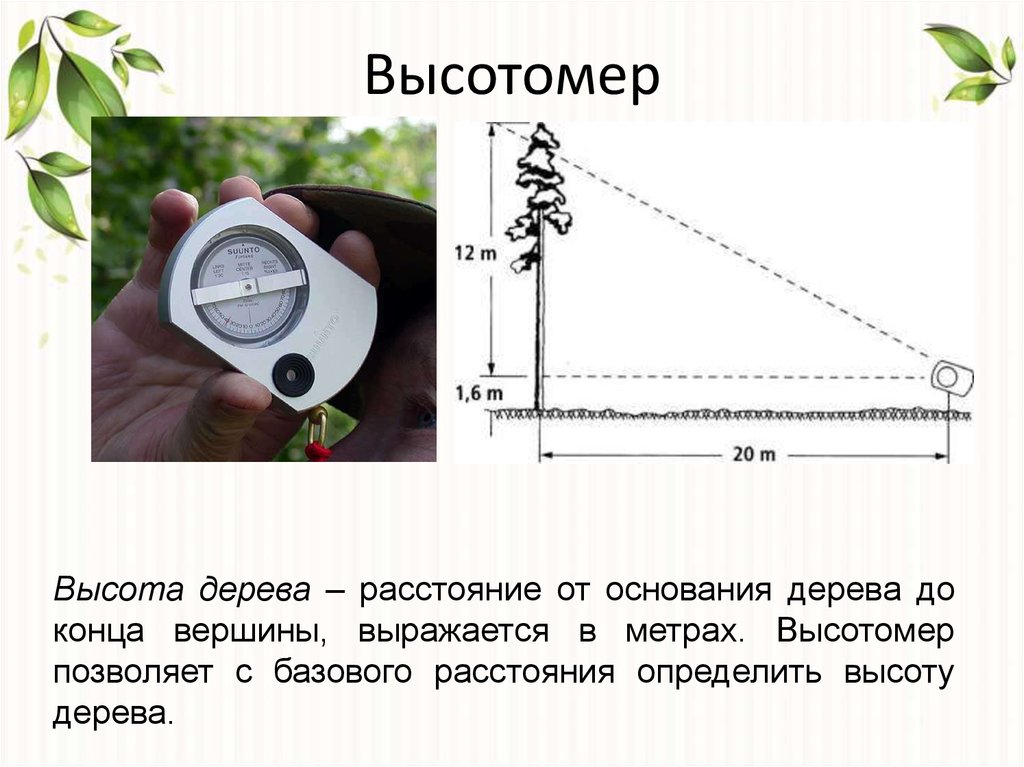 Каким измерение измерять. Измерить высоту дерева высотомером. Высотомер эклиметр ЭВ-1(высотомер). Измерение высоты дерева маятниковыми высотомерами. Высотомер эт-1м 2 шкалы.