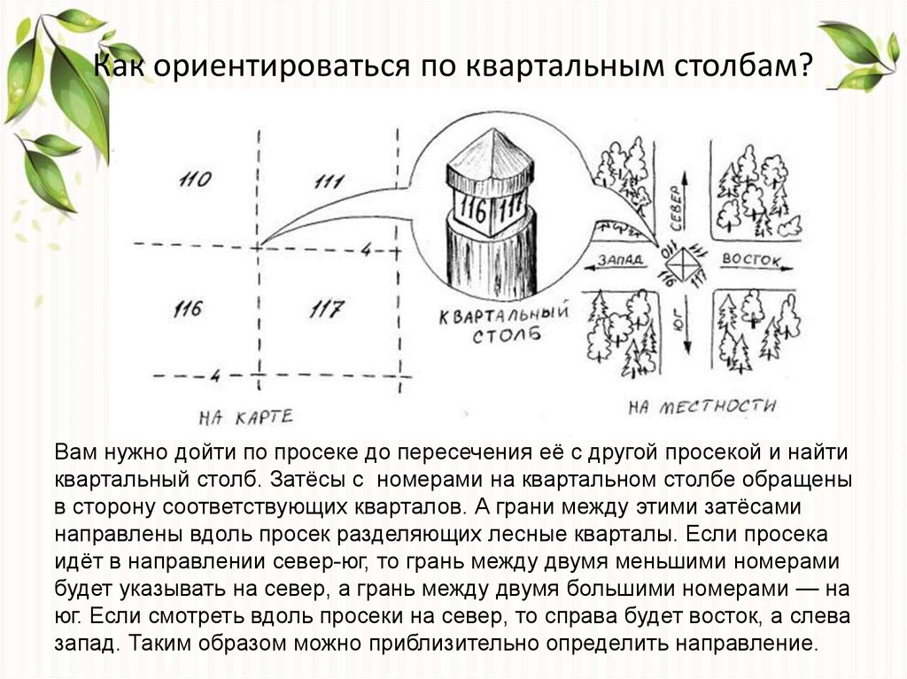 Каким образом можно найти. Ориентирование по квартальным столбам. Ориентирование по квартальным столбам в лесу. Ориентирование на местности по квартальным столбам. Ориентирование по просекам в лесу.