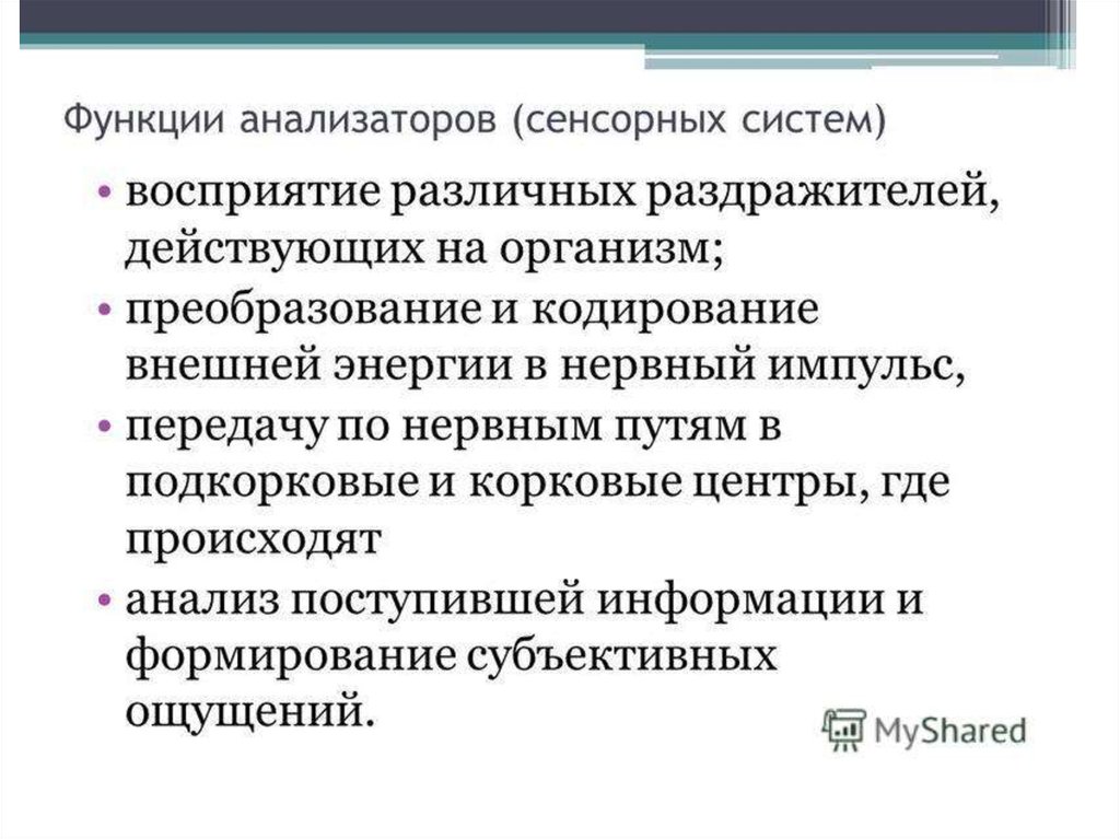 Функции анализаторов. Основные функции анализаторов. Взаимодействие анализаторов. Взаимосвязь анализаторов. Примеры взаимодействия анализаторов.