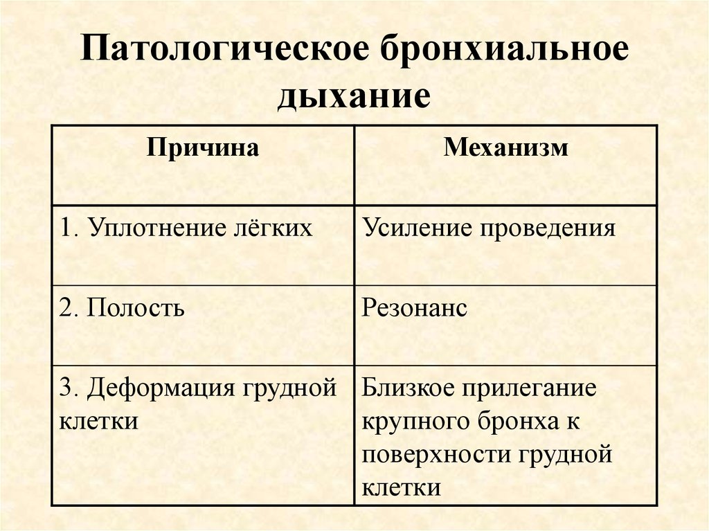 Бронхиальное дыхание выслушивается при каких заболеваниях. Перечислите признаки бронхиального дыхания. Патологическое бронхиальное дыхание. Патологическое бронхиальное дыхание механизм.