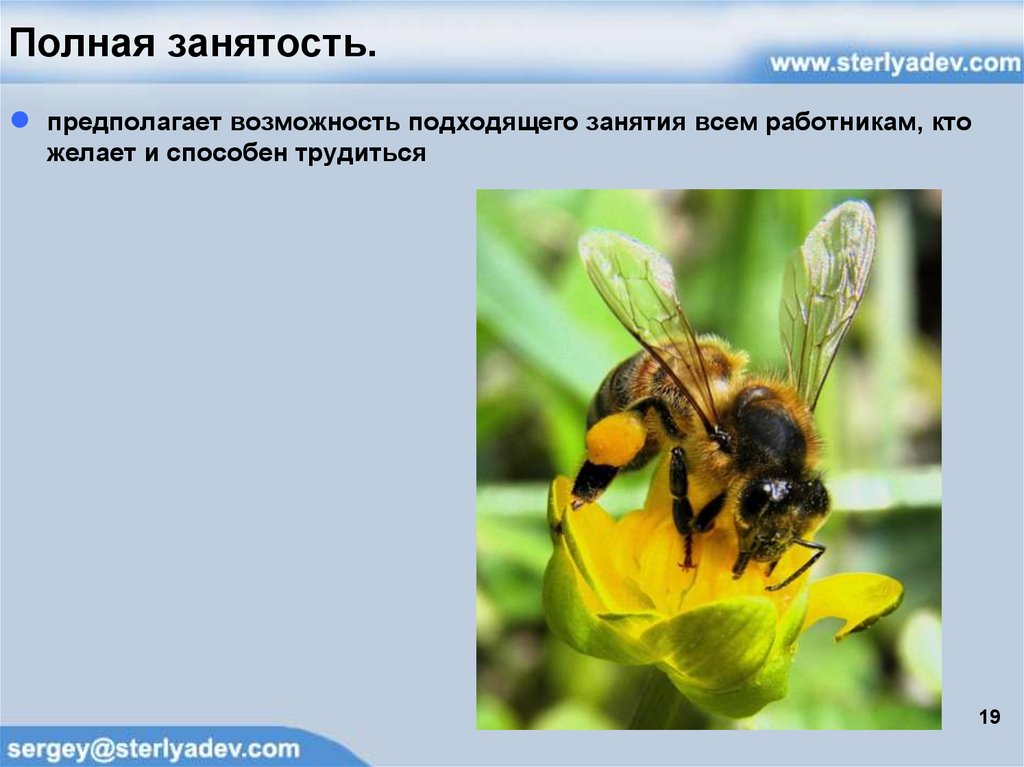 Полная занятость.