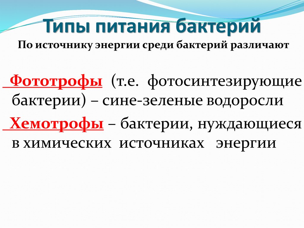 Рост и питание микроорганизмов презентация