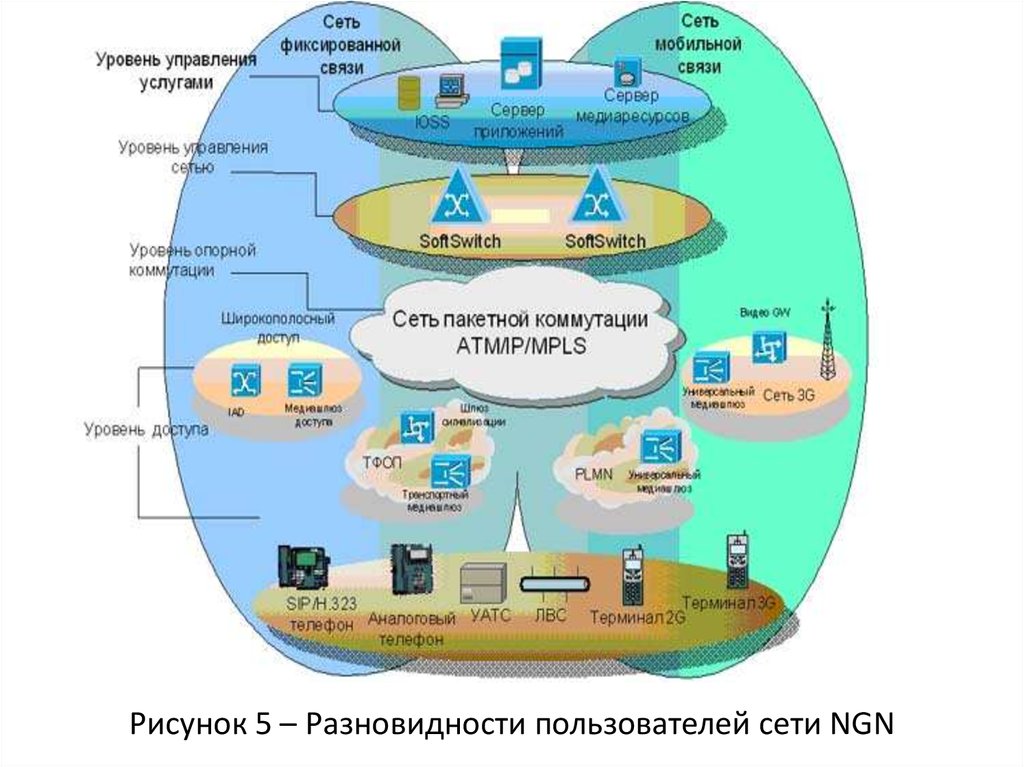 Управление сетью учреждений. Уровни мультисервисной сети NGN. Схема NGN. Уровень управления NGN. Сеть NGN схема.