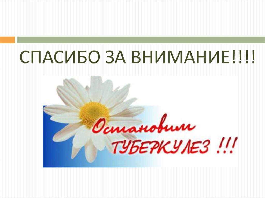 СПАСИБО ЗА ВНИМАНИЕ!!!!