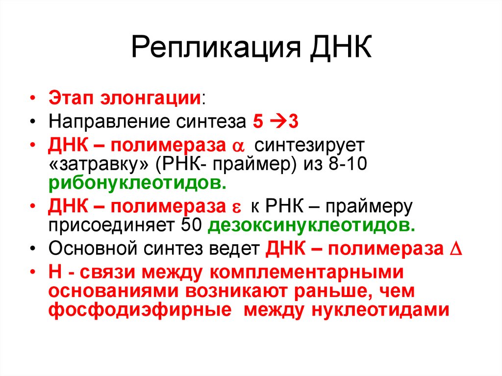 Последовательность днк и рнк. Репликация ДНК биохимия этапы. Основные этапы процесса репликации ДНК. Этапы репликации ДНК кратко. Охарактеризуйте основные этапы процесса репликации ДНК.