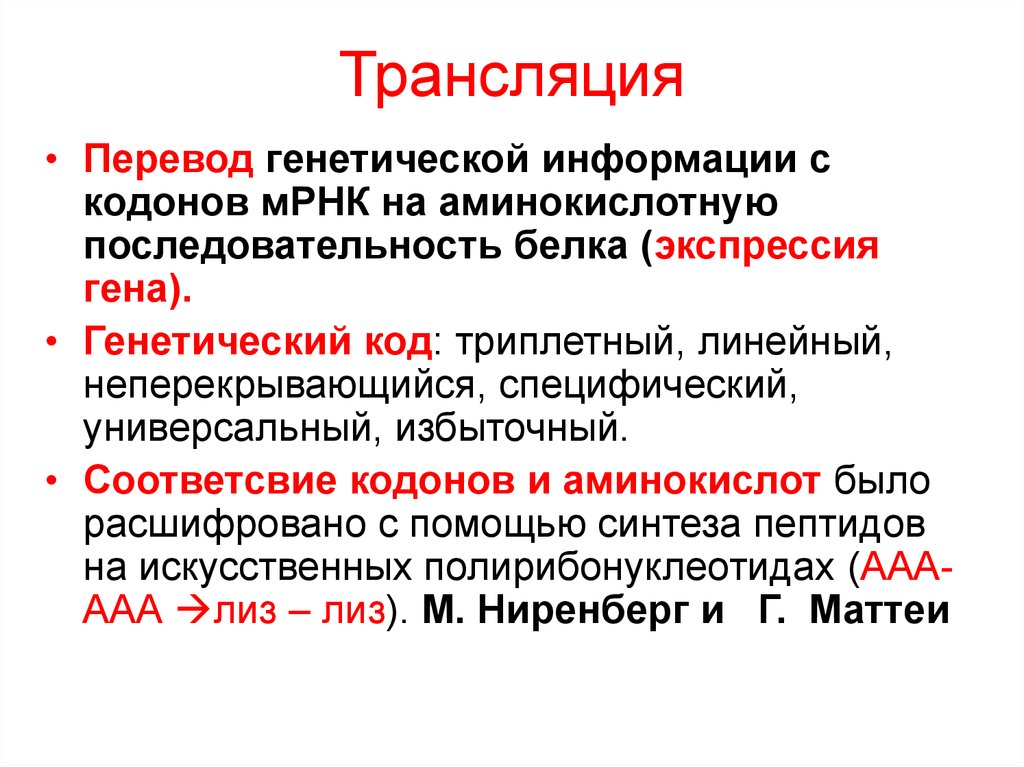 Биосинтез белка кодон. Трансляция генетический код. Трансляция этапы генетика. Трансляция генетический код этапы трансляции. Белок генетический код.