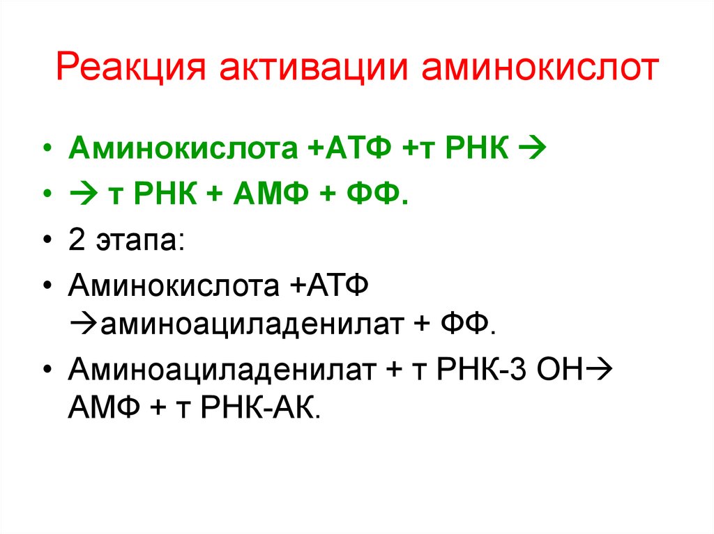 Аминокислоты в биосинтезе белка. Этапы активации аминокислот. Реакция активации аминокислот. Активация аминокислот АТФ. Активирование аминокислот.