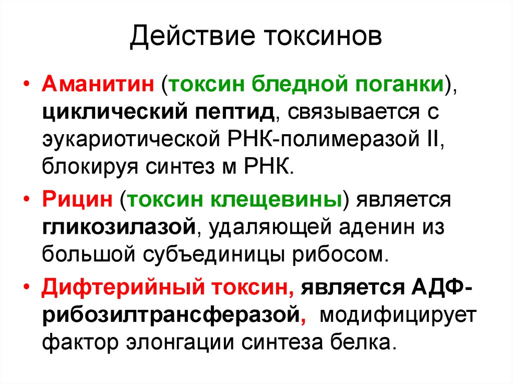 Рнк блокирует. Аманитин механизм действия. Альфа аманитин механизм действия. Α-Токсин механизм действия. Механизм действия α-аманитина на матричные синтезы.