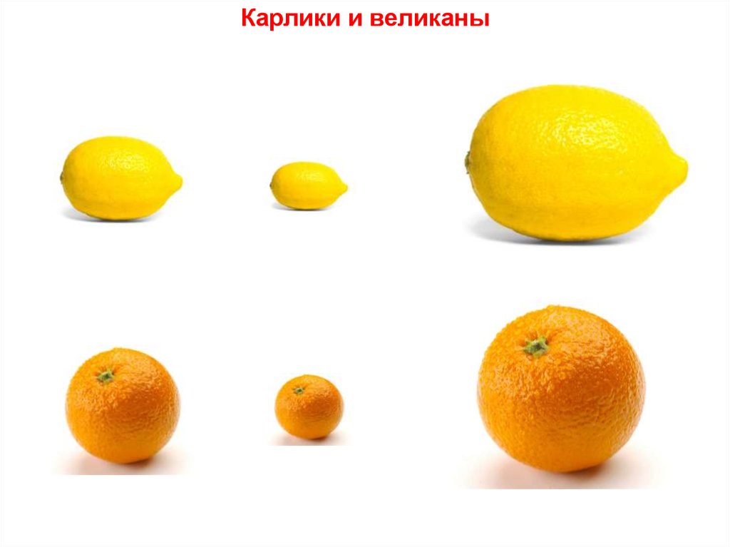 Карлики и великаны