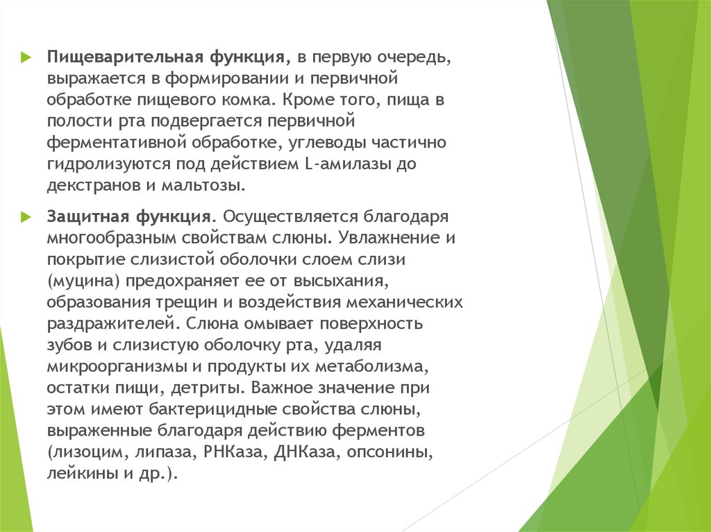 Бактерицидное свойство слюны. Формирование первичной слюны. Бактерицидные свойства слюны. Ферментативной обработке в полости рта подвергаются. Чем обусловлены бактерицидные свойства слюны.