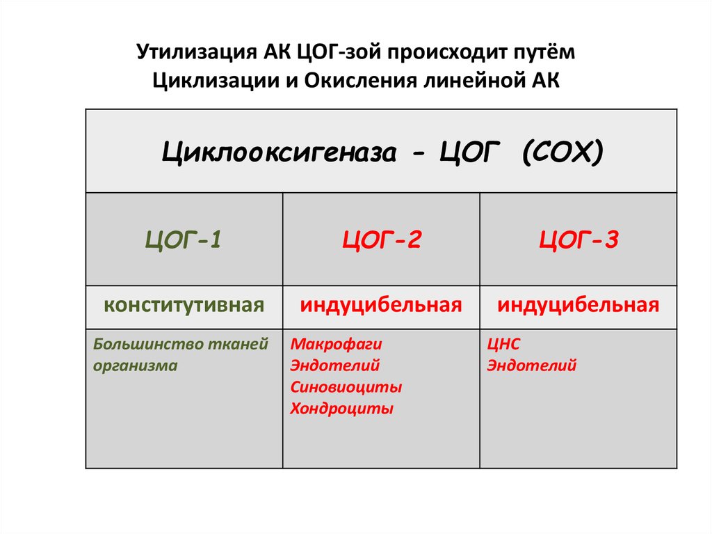 Цог это