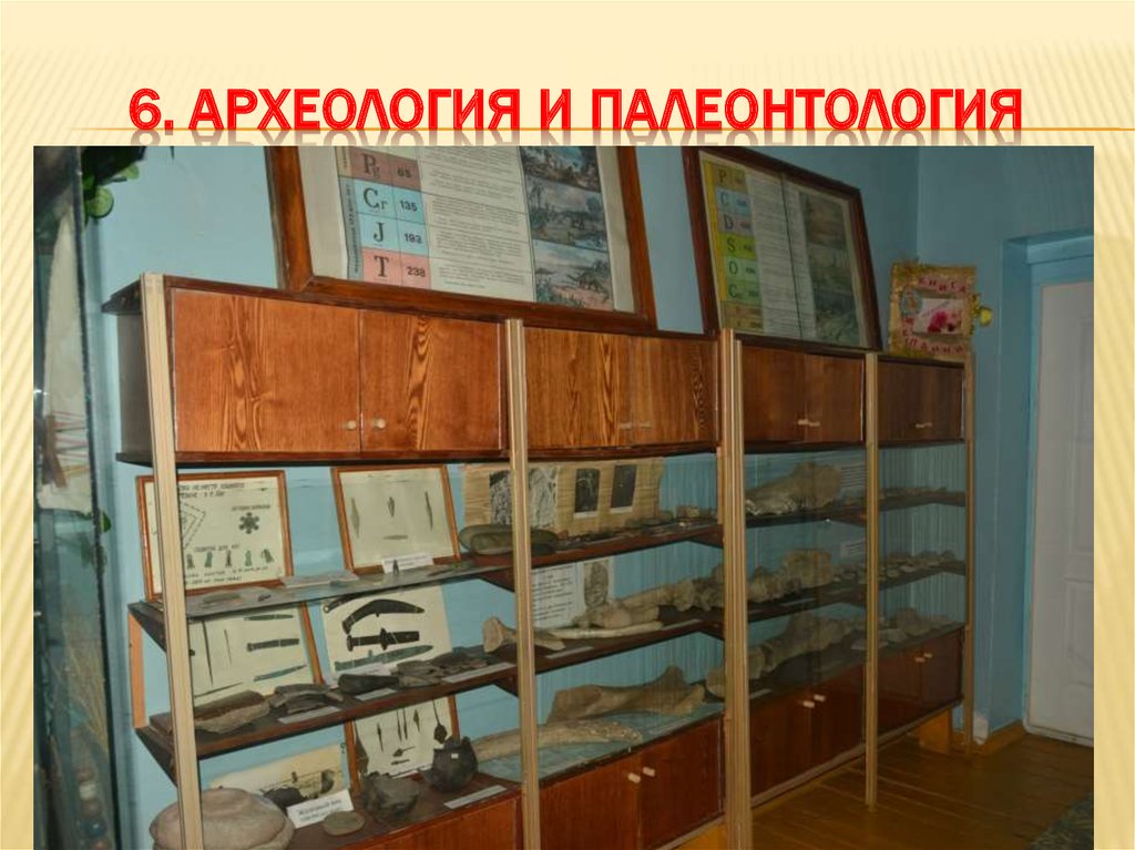 6. Археология и палеонтология