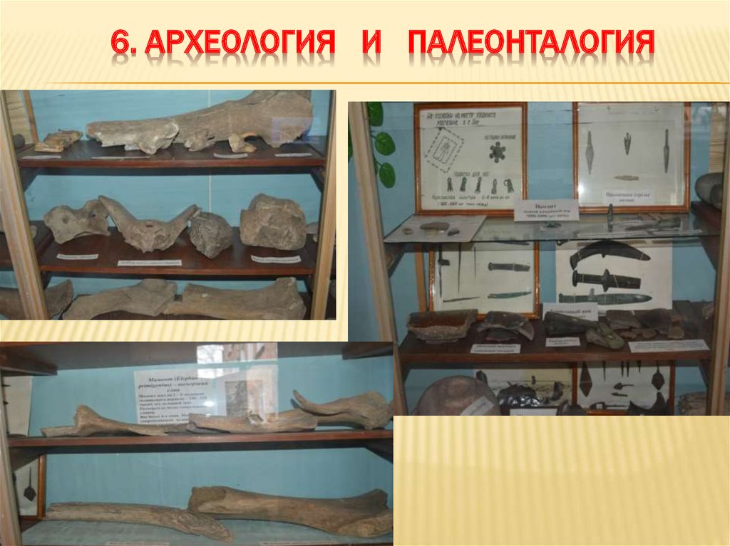 6. Археология и палеонталогия