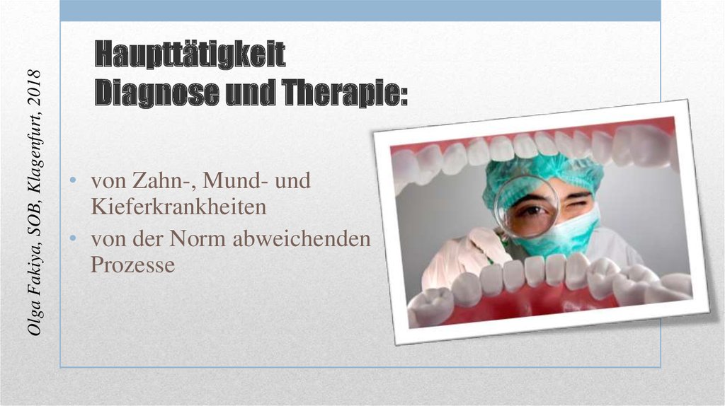 Haupttätigkeit Diagnose und Therapie: