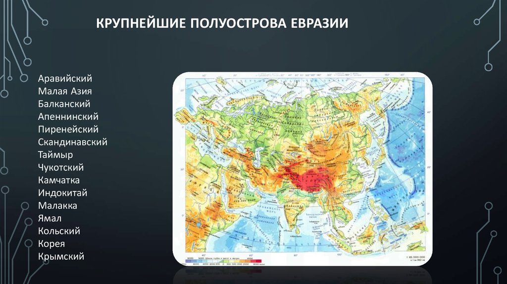 Полуострова евразии на карте. Острова и полуострова Евразии. Крупнейший полуостров Евразии. Крупные полуострова Евразии.