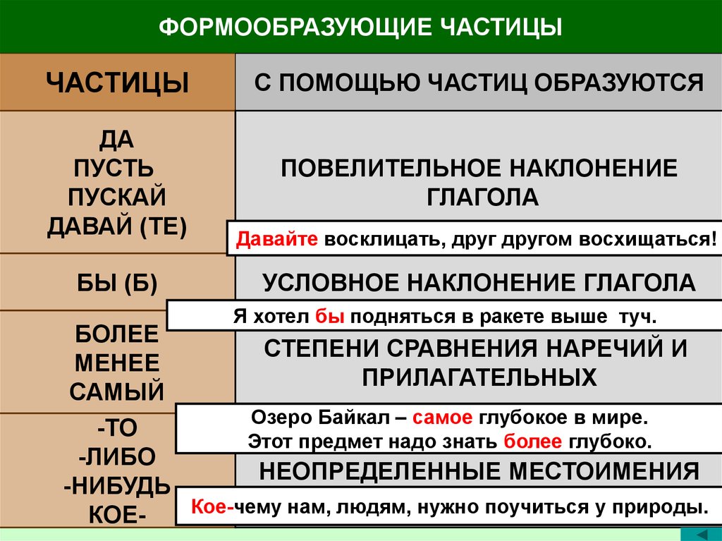 Частицы в русском языке 7 класс. Формообразующие частицычастиц. Форомо образующие частицы. Формообраззные частицы. Форма образуючие частицы.