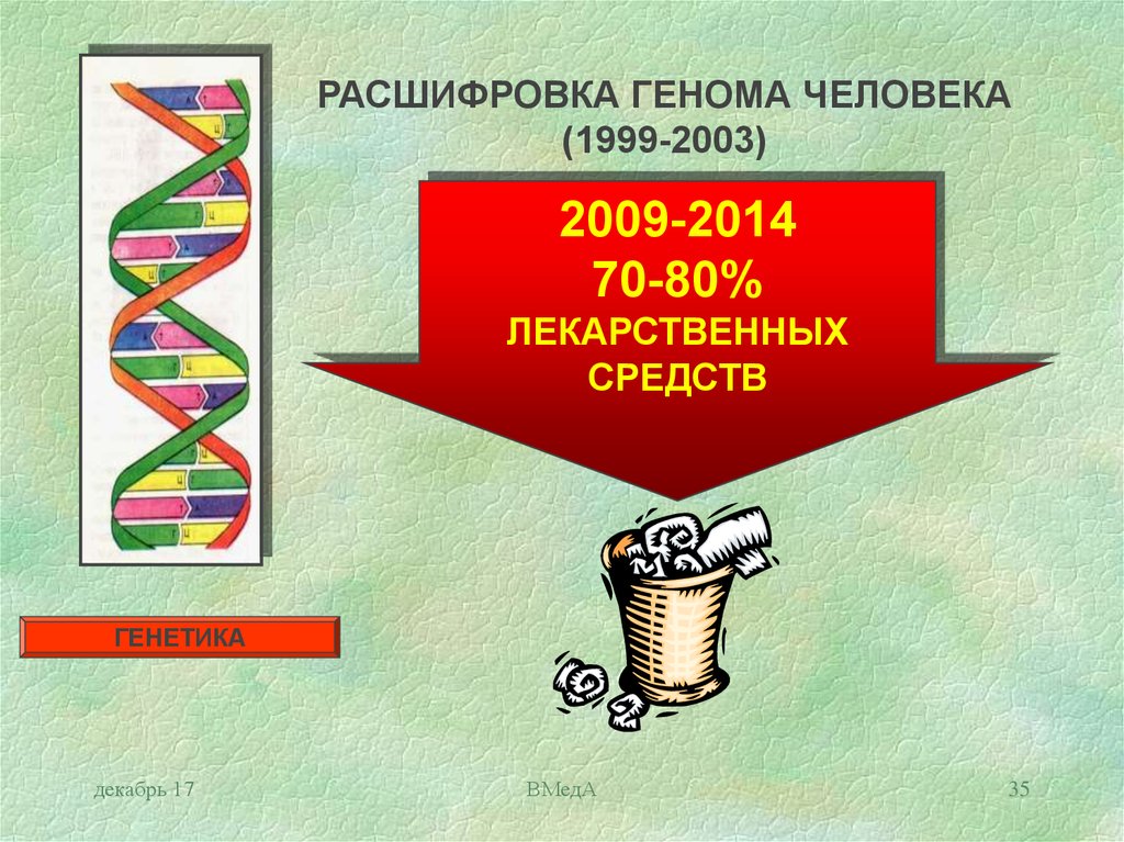 При расшифровке генома ржи было установлено 30. Расшифровка генома человека. Расшифровка генома.