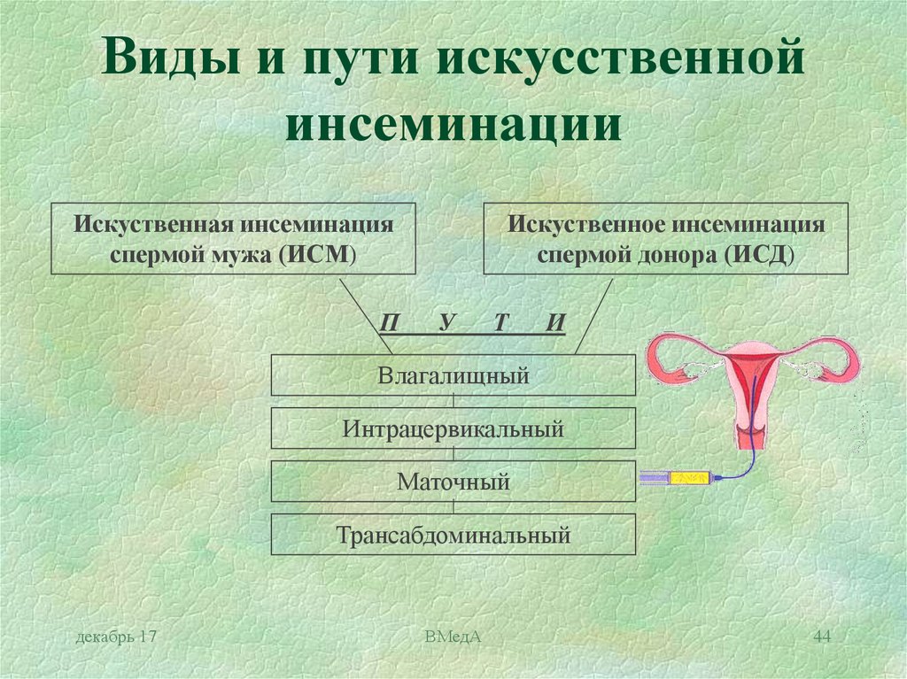 Искусственным путем. Искусственная инсеминация виды. Искусственная инсеминация процент успеха.