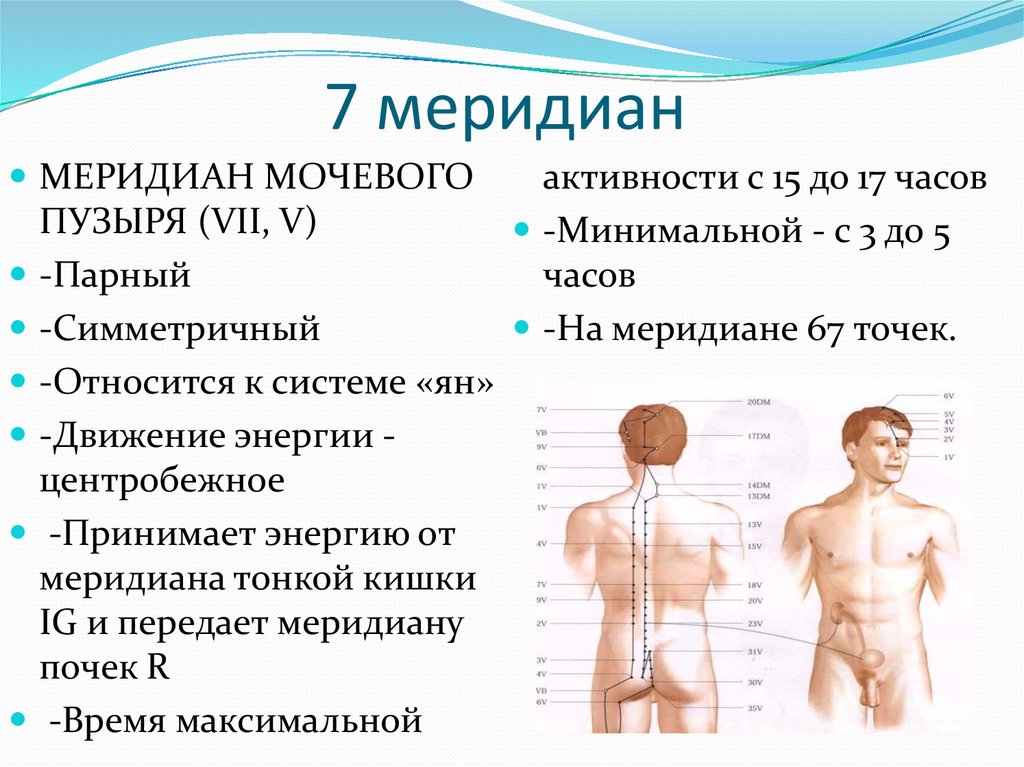 Артровикс меридиан. Меридианы человека. Меридианы органов человека. Меридианы тела человека в таблицах. Меридианы человека схема.