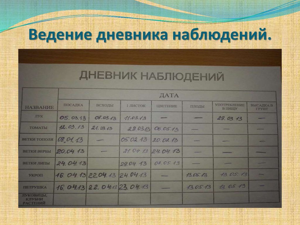 По таблице наблюдений. Ведение дневника наблюдений. Дневник наблюдения беременной. Пример ведения дневника. Ведение дневника наблюдения за артериальным давлением.