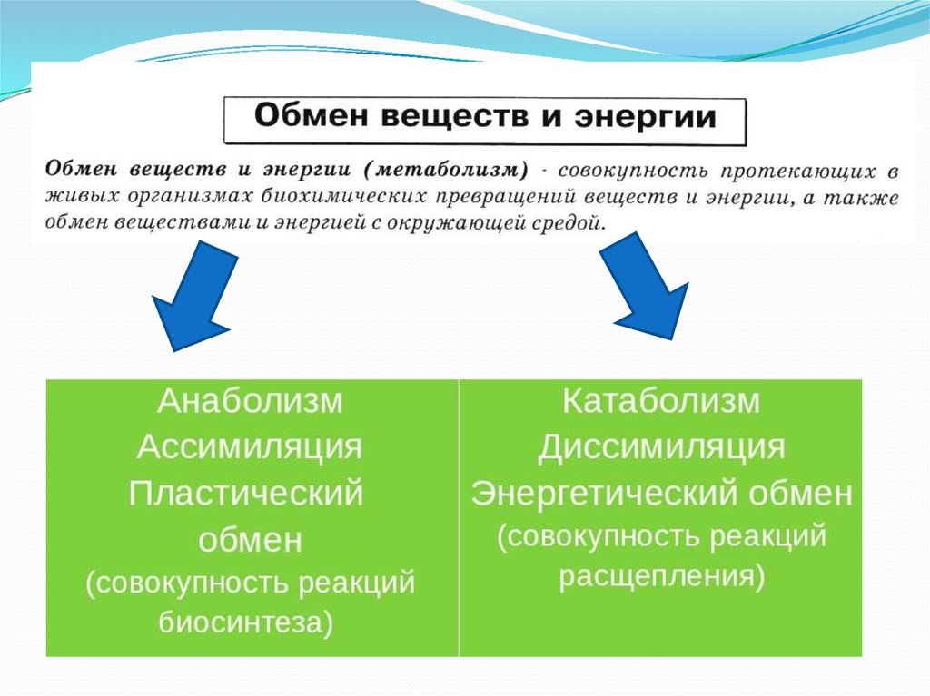 Совокупность протекающих в организме