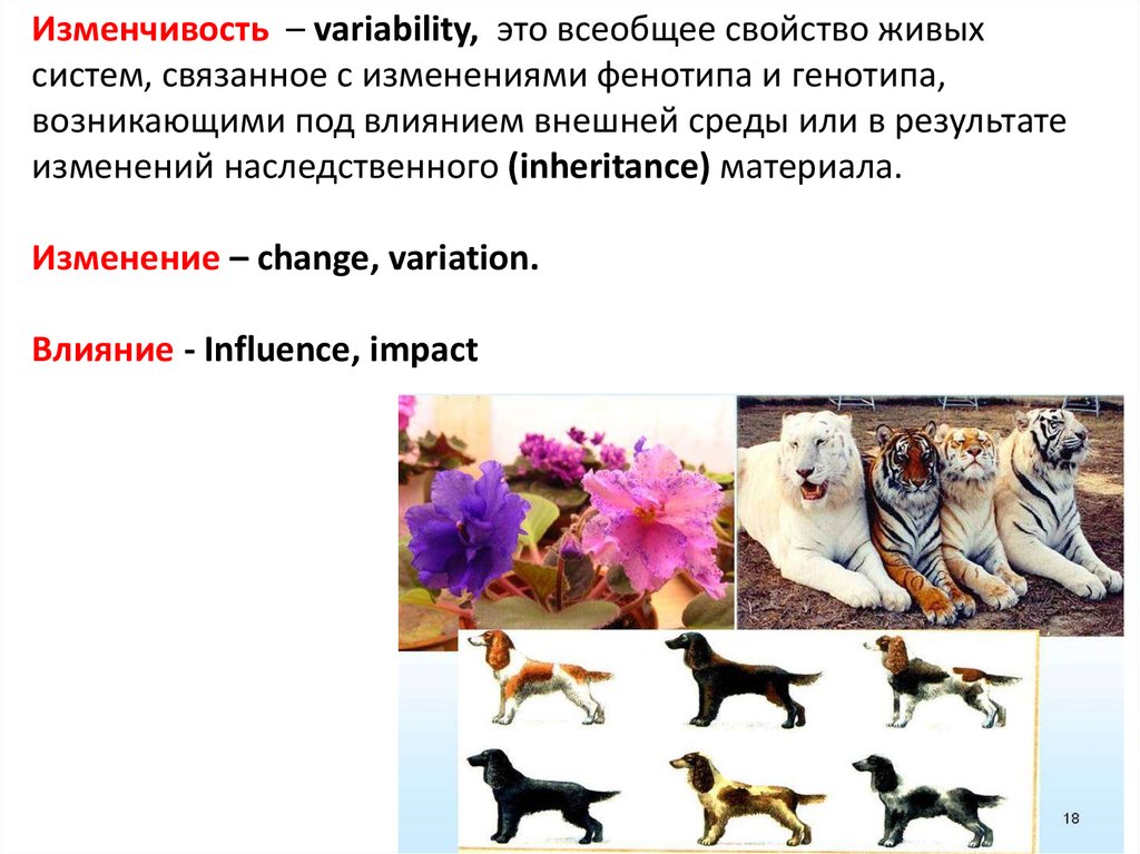 Изменчивость среды. Живые организмы обладают наследственностью и изменчивостью. Свойство живых организмов изменчивость пример. Изменчивость живых систем. Морфологическая изменчивость животных.