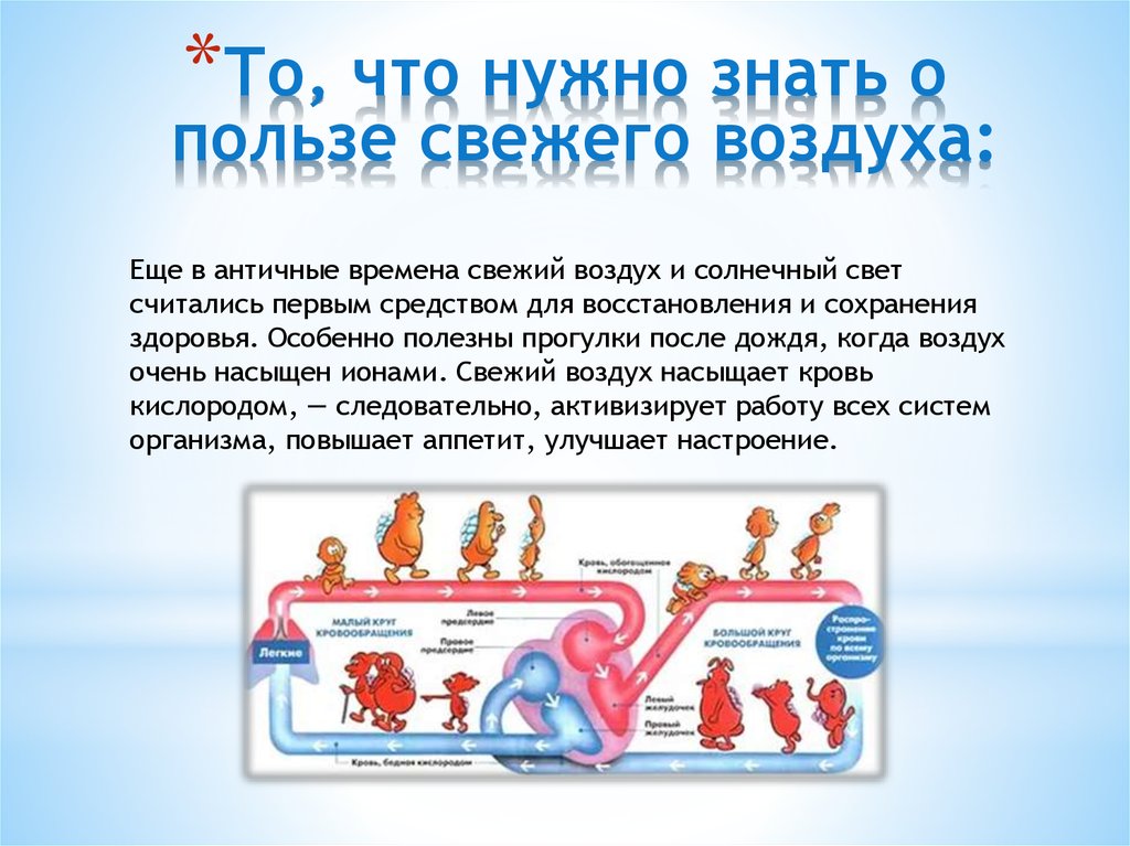 Воздух польза. Польза воздуха для здоровья.