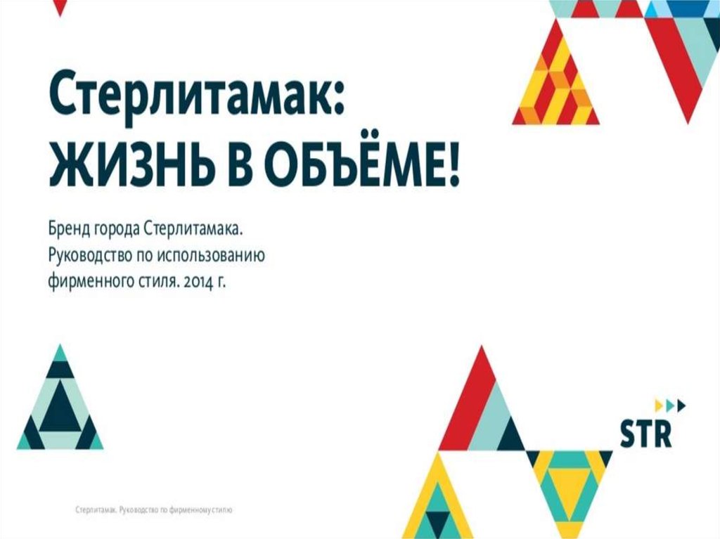 Руководство по использованию элементов фирменного стиля рдш