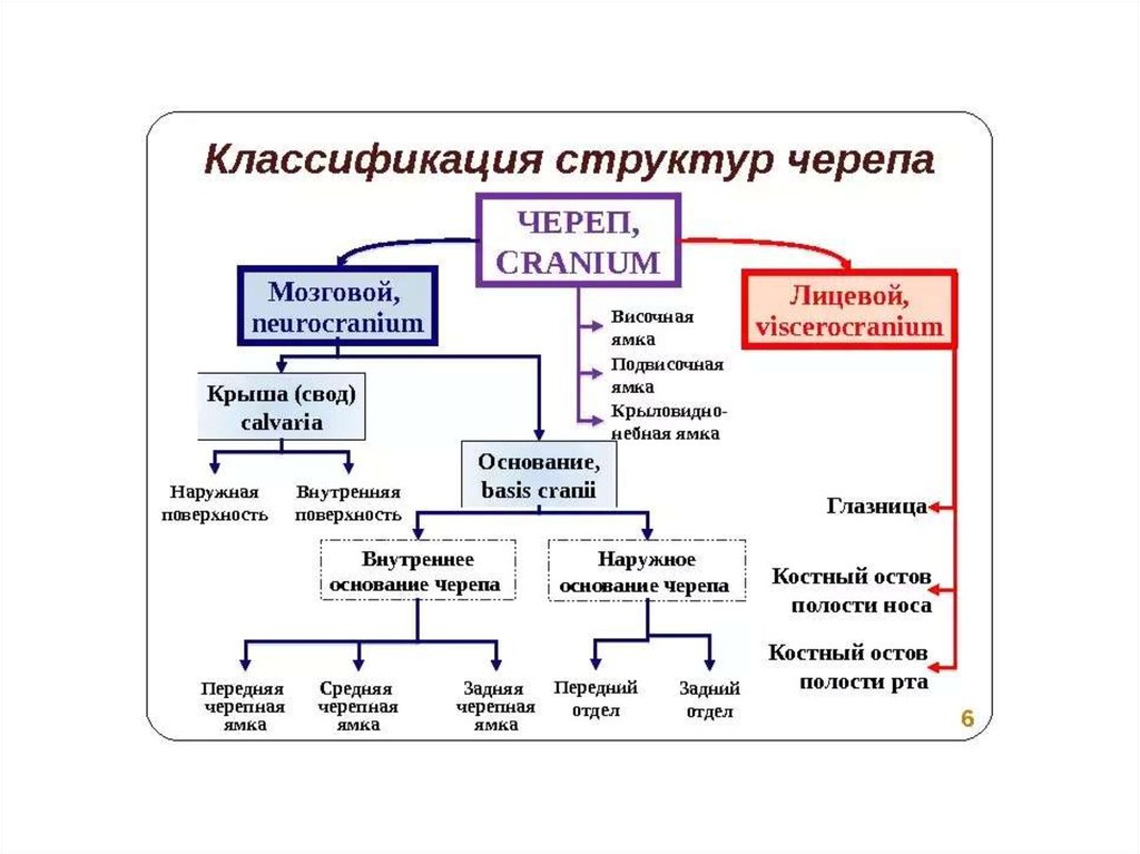 Структура и классификация