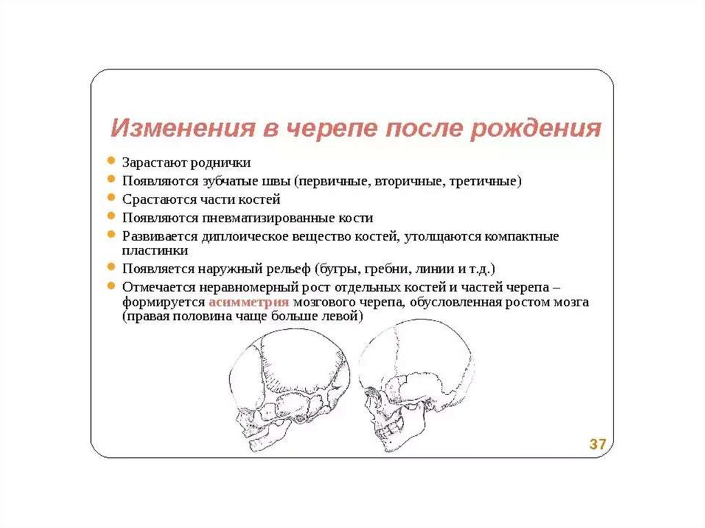 Основным признаком возрастных изменений костей