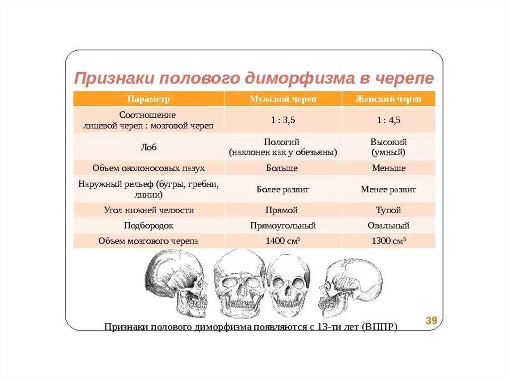 Чем можно объяснить легкость черепа. Половые особенности черепа таблица. Таблица по черепу анатомия. Половые особенности черепа анатомия. Признаки полового диморфизма черепа.