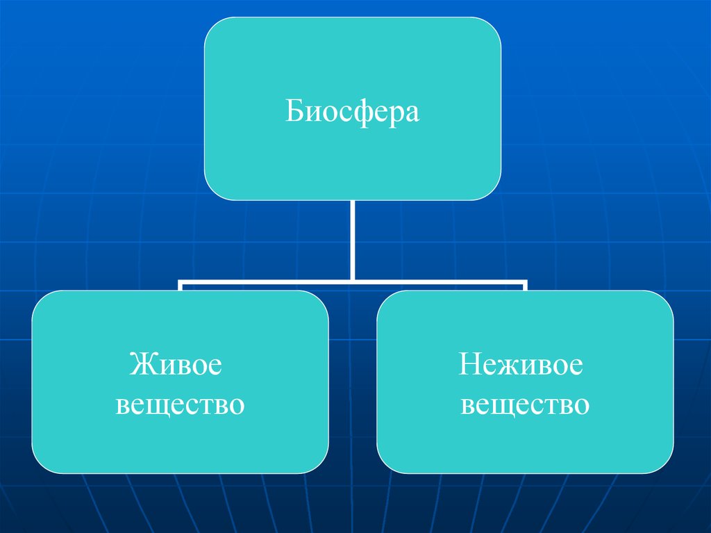 Вирусы живые или неживые