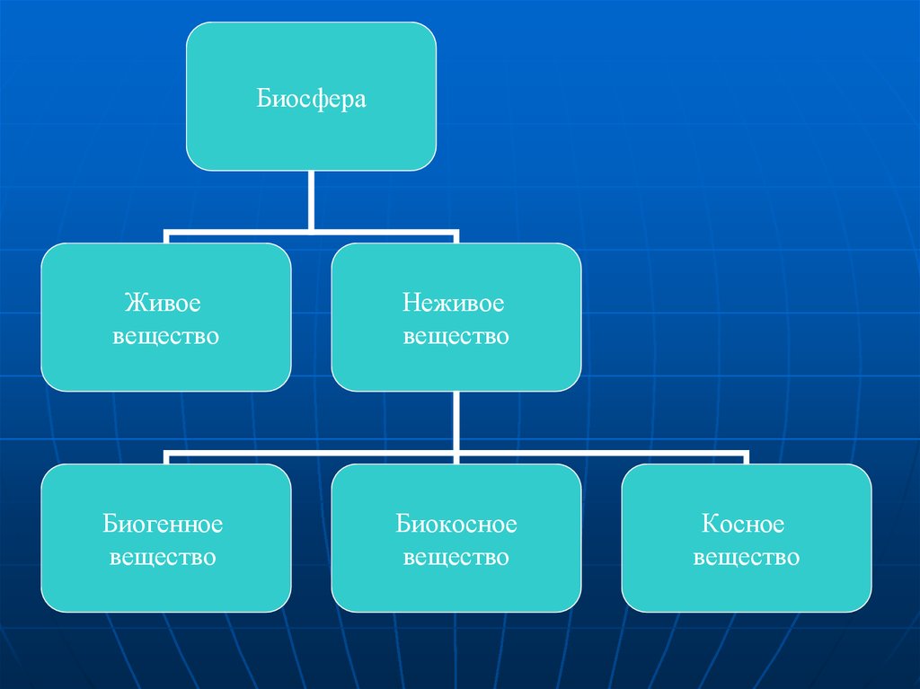Виды биосферы. Живое и неживое вещество биосферы. Составляющие биосферы. Неживое вещество биосферы. Живое вещество косное и неживое биосферы.