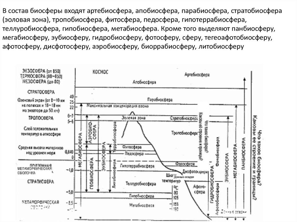 Границы биосферы таблица. Что входит в состав биосферы. ГИПОБИОСФЕРА. Структура и границы биосферы. Таблица Биосфера и ее границы.