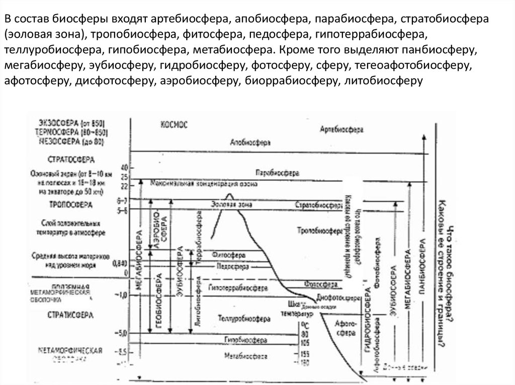 Эволюция биосферы план параграфа