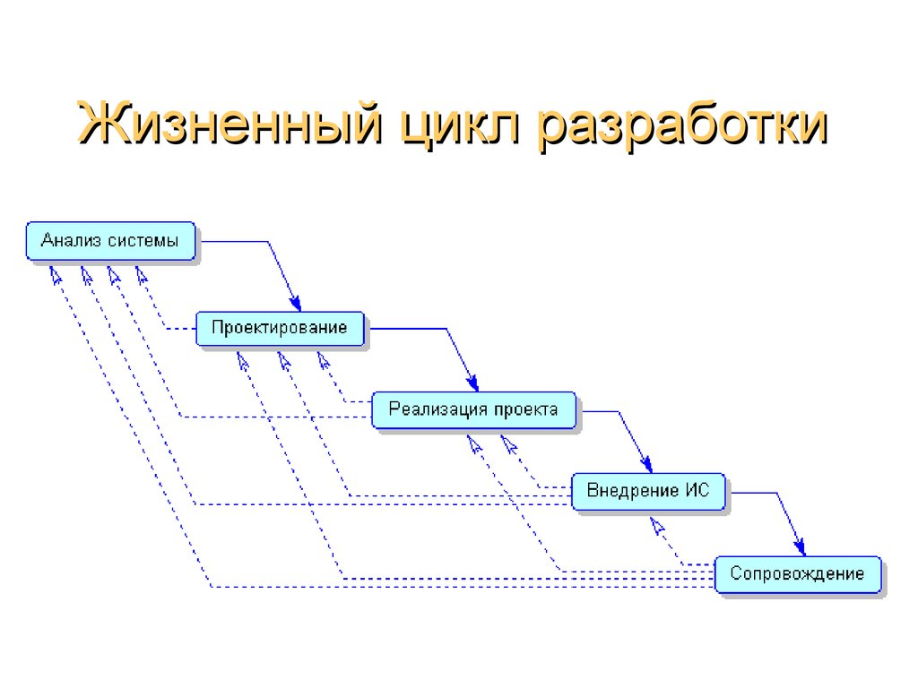 Презентация жизненный цикл базы данных