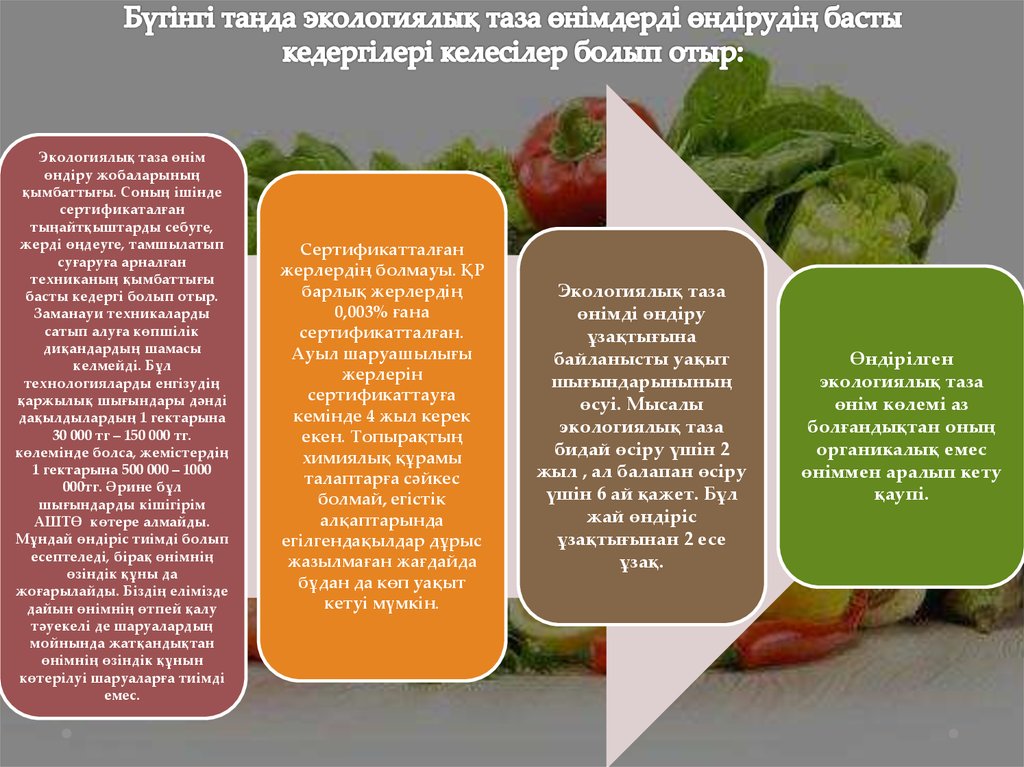 Экологиялық белгілер презентация