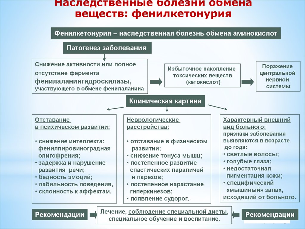 Болезни обмена. Наследственные болезни обмена их. При наследственных болезнях обмена аминокислот. Генетические болезни обмена веществ фенилкетонурия у животных. Объект клиники интеллектуальных нарушений.