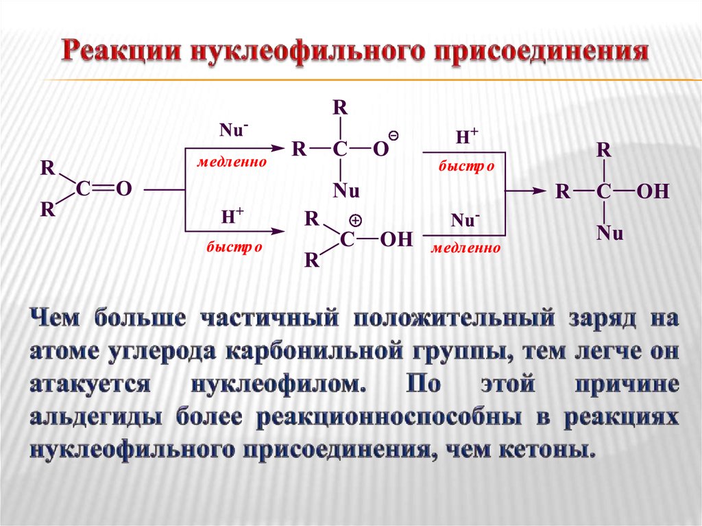 Активность в реакциях нуклеофильного присоединения. Механизм реакции нуклеофильного соединения. Нуклеофильное присоединение карбонильных соединений. Нуклеофильное ацильное присоединение. Нуклеофильное присоединение алкенов механизм.