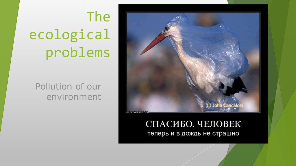 The ecological problems