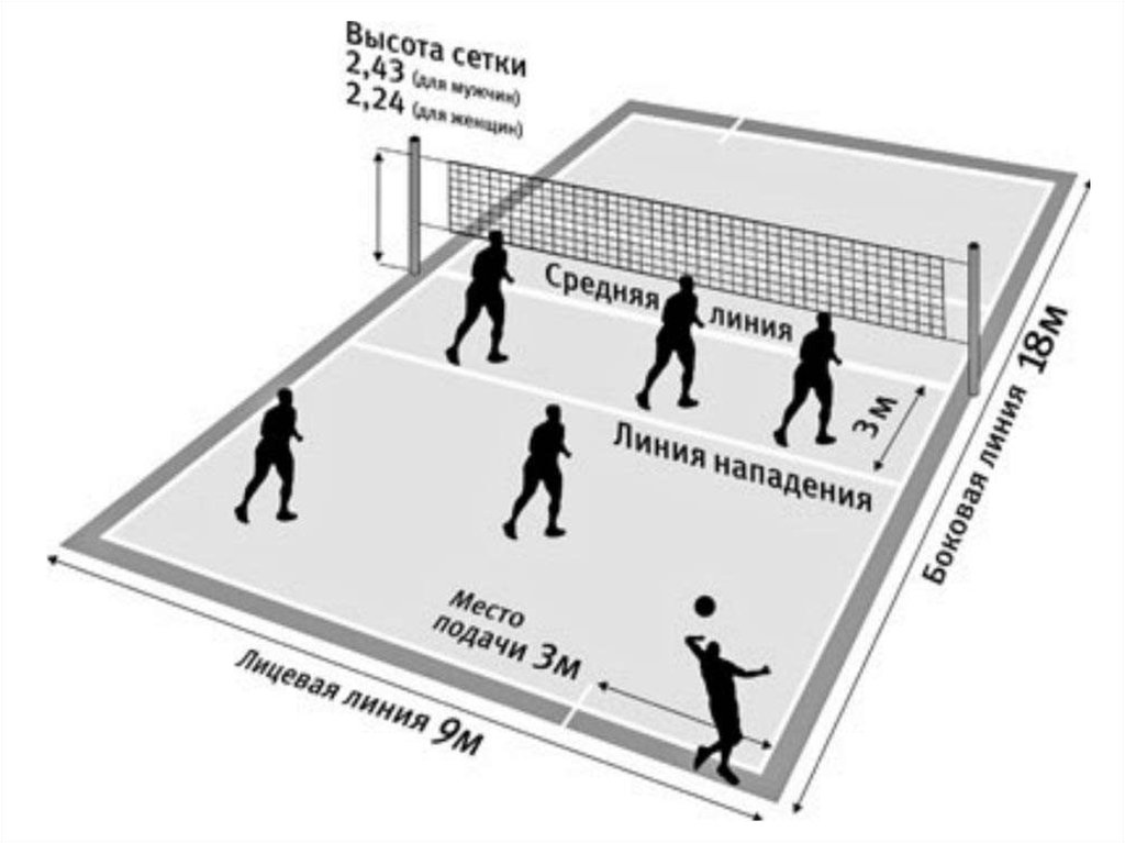 Картинки волейбол правила игры