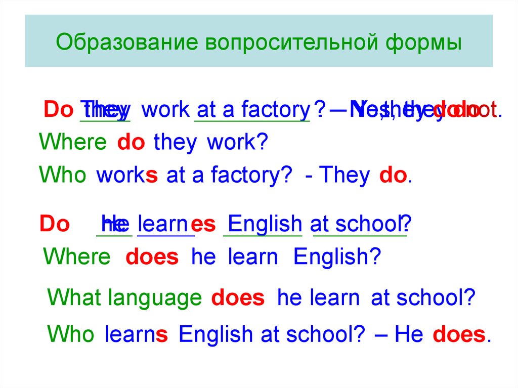 Настоящее неопределенное. They формы. Works в вопросительной форме. They в вопросительной форме. They формы слова.