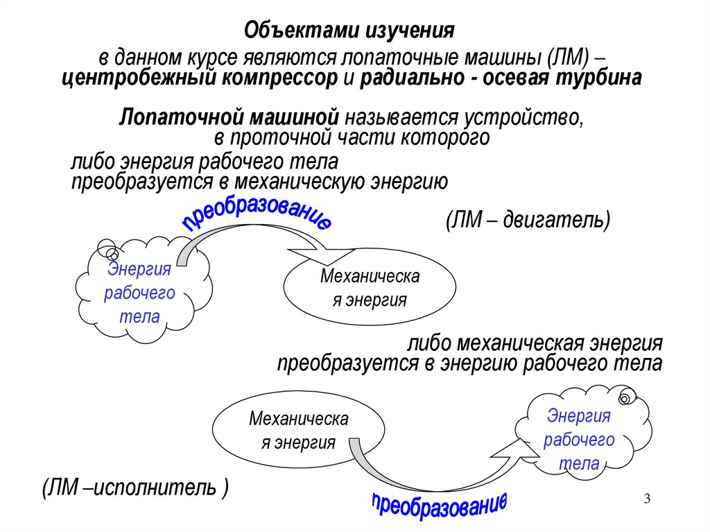 Общество является объектом изучения